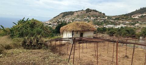 Terreno Urbano  Venda em Campanário,Ribeira Brava