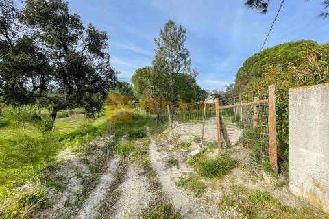 Moradia em Vale Mansos