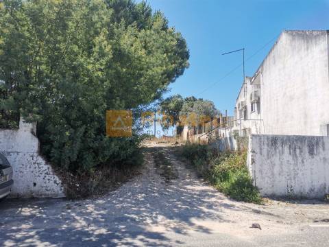 Terreno  Venda em Coruche, Fajarda e Erra,Coruche