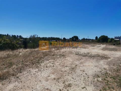 Terreno  Venda em Coruche, Fajarda e Erra,Coruche