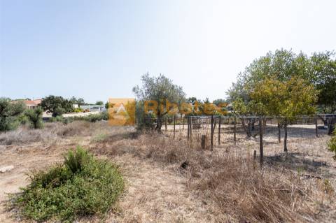 Moradia T2 Venda em Coruche, Fajarda e Erra,Coruche