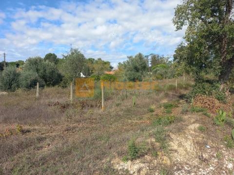 Terreno para construção em Coruche