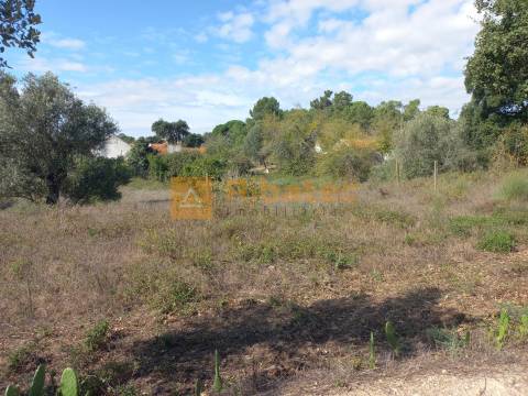 Terreno para construção em Coruche