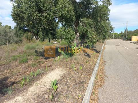 Terreno para construção em Coruche