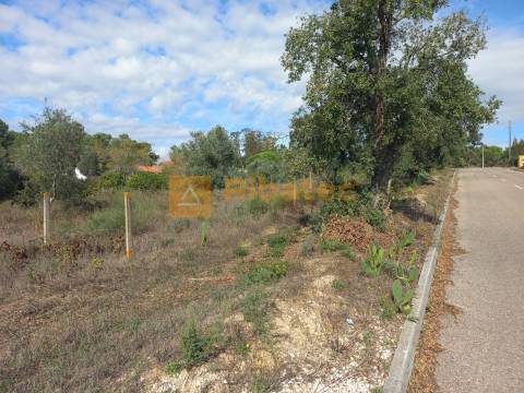 Terreno para construção em Coruche