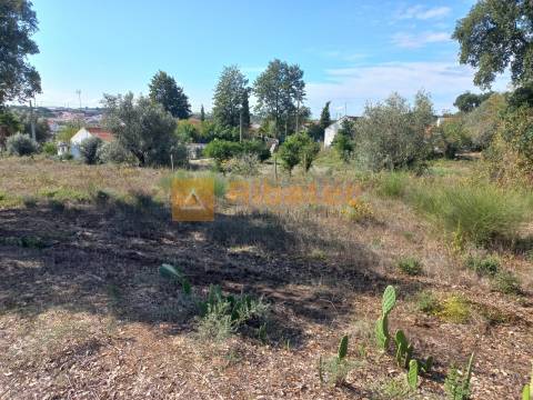 Terreno para construção em Coruche