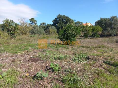 Terreno para construção em Coruche