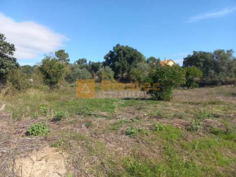 Terreno para construção em Coruche