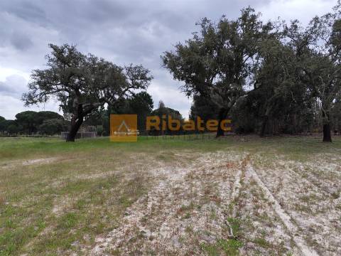 Terreno com viabilidade de construção