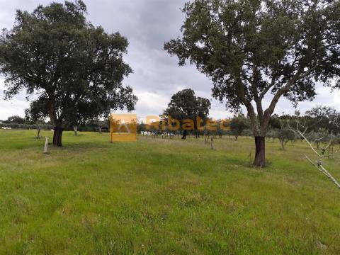 Terreno com viabilidade de construção