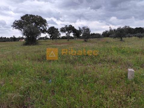 Terreno com viabilidade de construção