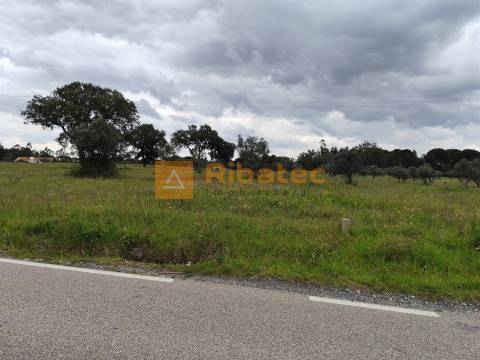 Terreno com viabilidade de construção