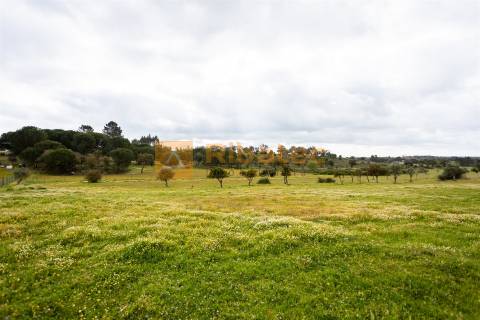 Moradia na Fazenda dos Pelados