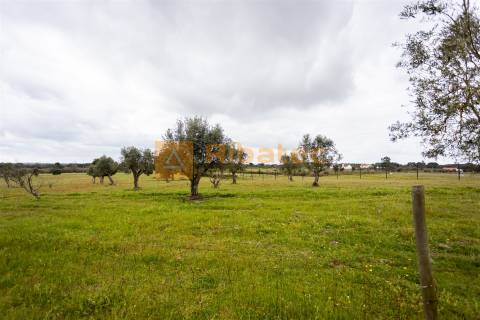 Moradia na Fazenda dos Pelados