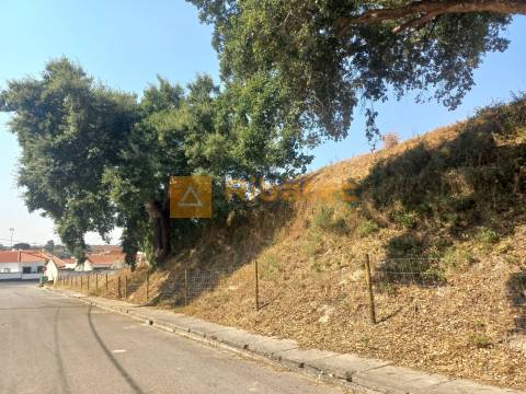 Terreno em Coruche com viabilidade de loteamento