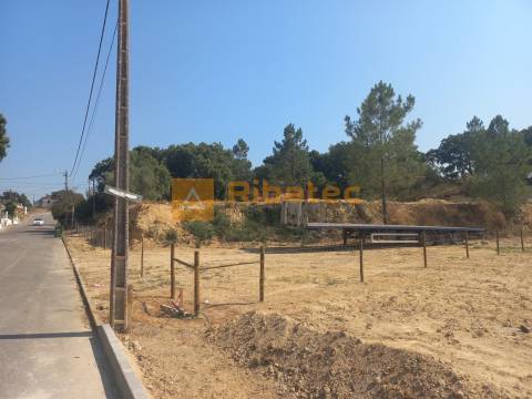 Terreno em Coruche com viabilidade de loteamento