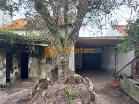 Moradia com garagem e quintal no centro da Lamarosa