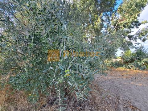 Moradia T2 Venda em Coruche, Fajarda e Erra,Coruche