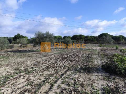 Terreno na Branca