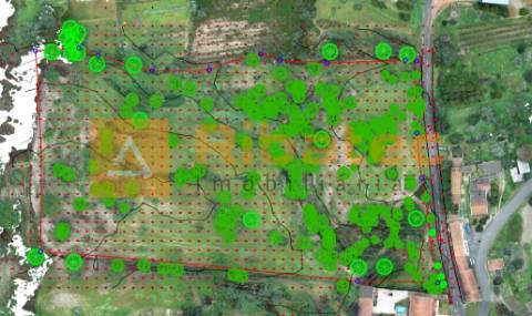 Terreno para construção no Valverde