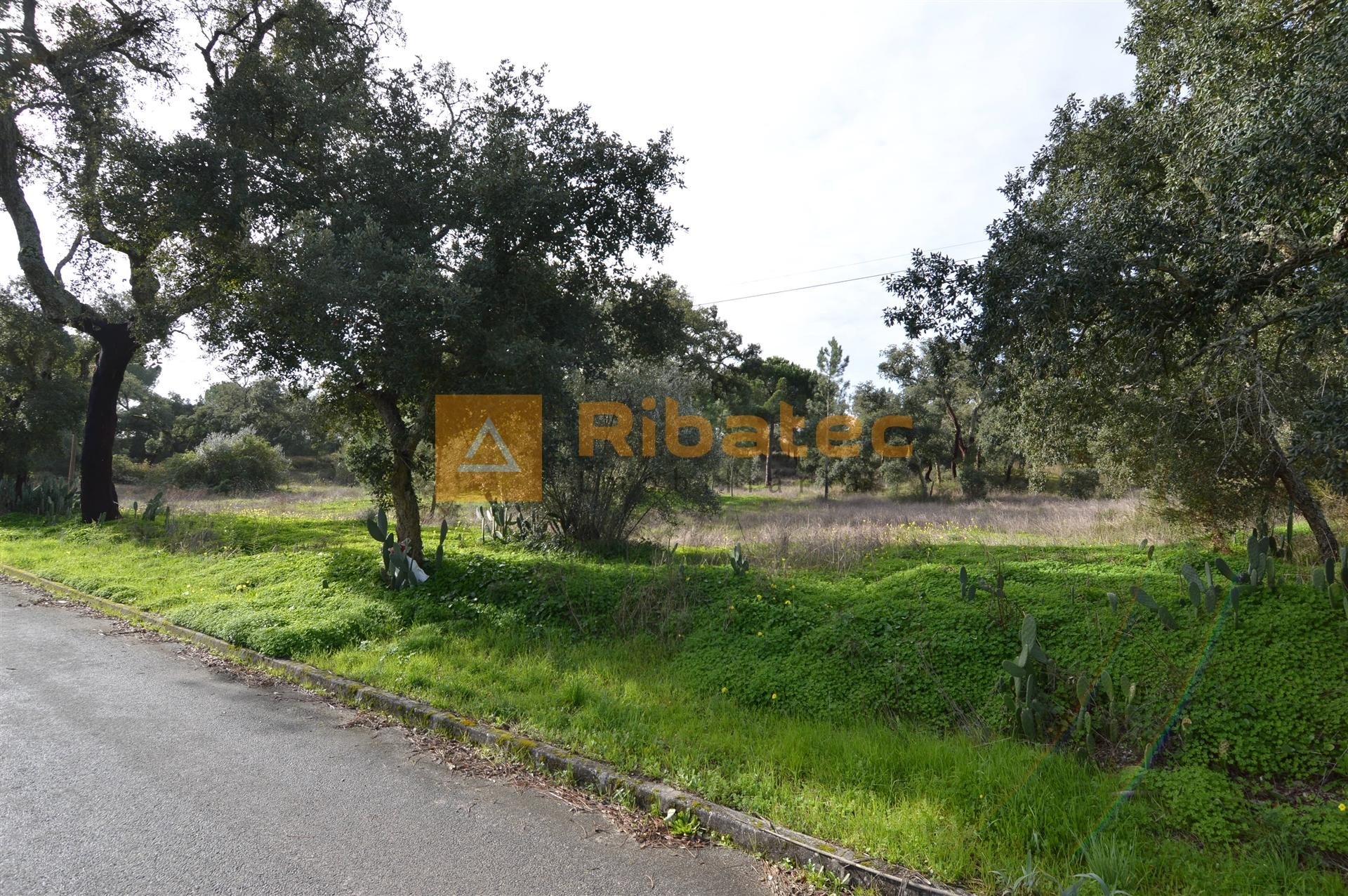 Terreno para construção no Valverde