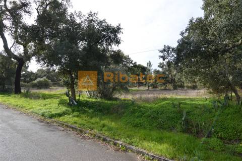 Terreno para construção no Valverde