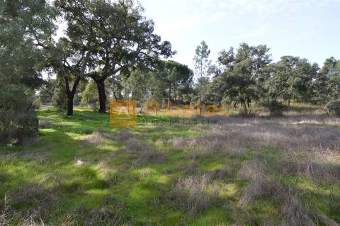 Terreno para construção no Valverde