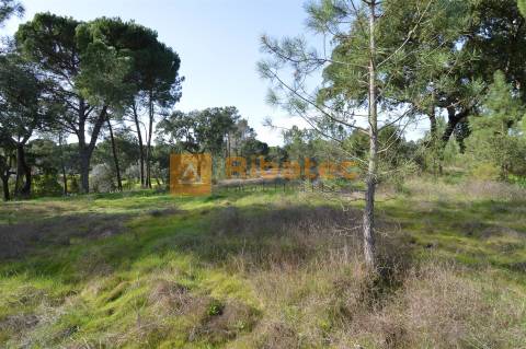 Terreno para construção no Valverde