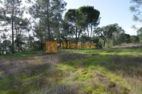 Terreno para construção no Valverde
