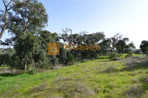 Terreno para construção no Valverde