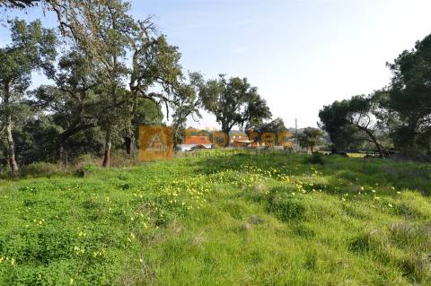 Terreno para construção no Valverde
