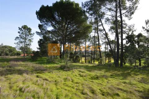 Terreno para construção no Valverde