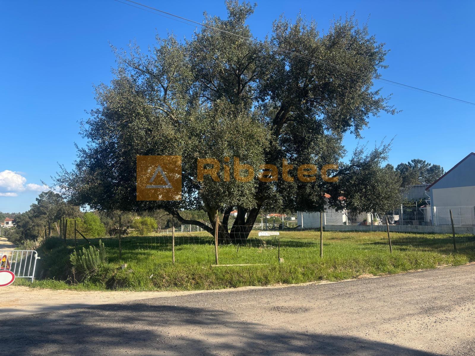 Terreno em Marinhais