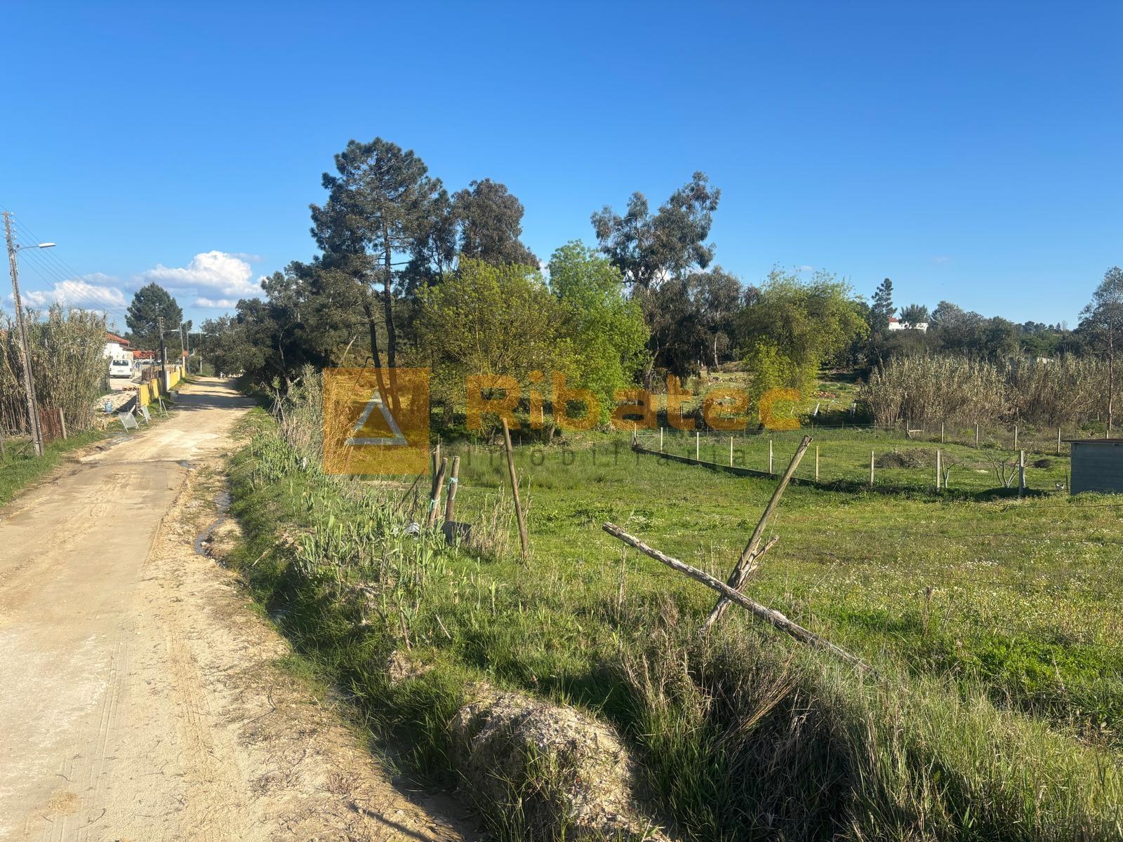 Terreno em Marinhais