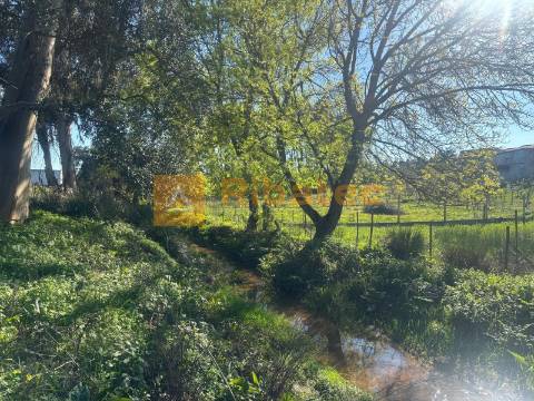 Terreno em Marinhais