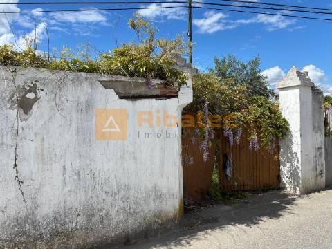 Terreno  Venda em Coruche, Fajarda e Erra,Coruche