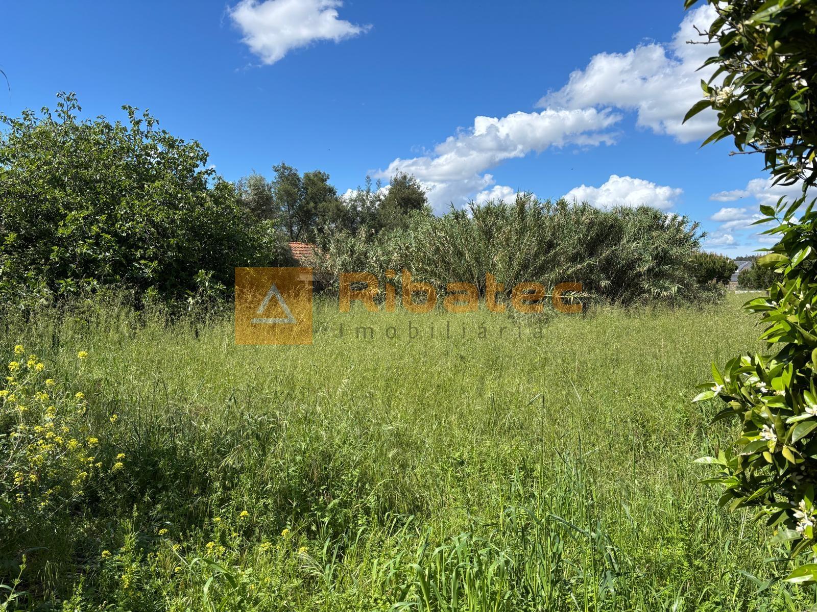 Terreno  Venda em Coruche, Fajarda e Erra,Coruche