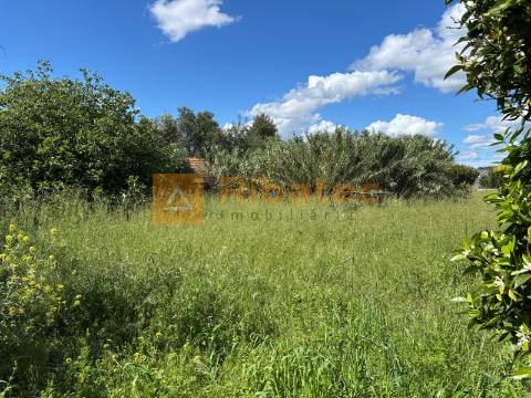 Terreno  Venda em Coruche, Fajarda e Erra,Coruche