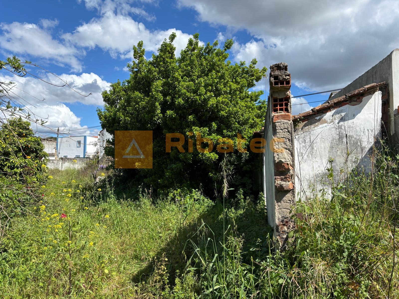 Terreno  Venda em Coruche, Fajarda e Erra,Coruche