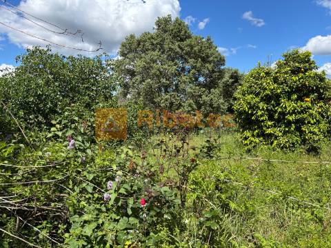 Terreno  Venda em Coruche, Fajarda e Erra,Coruche