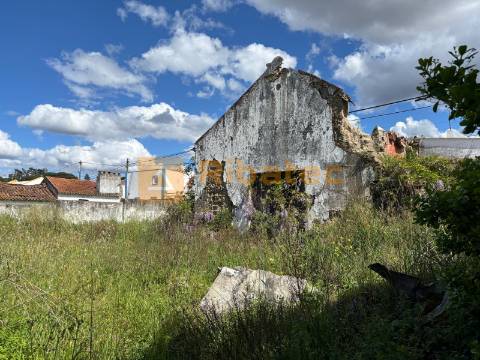 Terreno  Venda em Coruche, Fajarda e Erra,Coruche