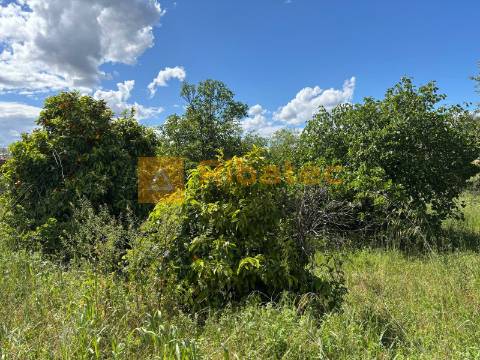Terreno  Venda em Coruche, Fajarda e Erra,Coruche