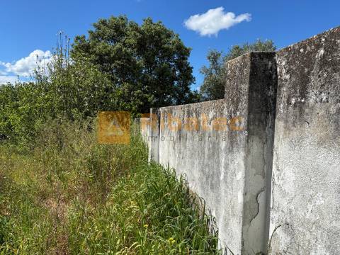 Terreno  Venda em Coruche, Fajarda e Erra,Coruche
