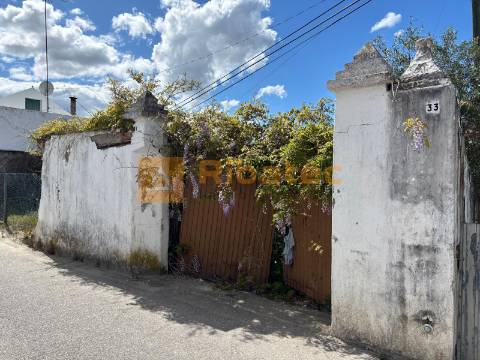 Terreno  Venda em Coruche, Fajarda e Erra,Coruche
