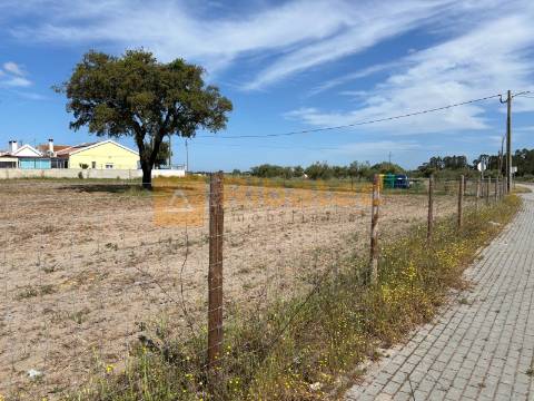 Terreno Para Construção  Venda em Coruche, Fajarda e Erra,Coruche
