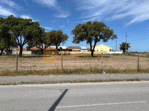 Terreno Para Construção  Venda em Coruche, Fajarda e Erra,Coruche