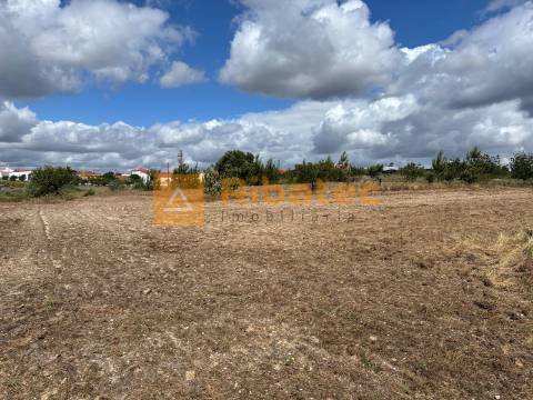 Terreno com arrecadação na Fajarda