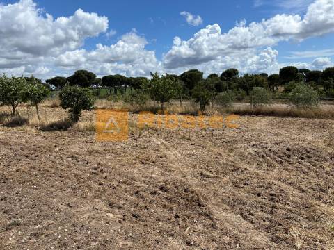 Terreno com arrecadação na Fajarda