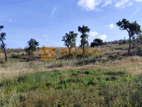 Terreno nas Fazendas da Arriça, Branca