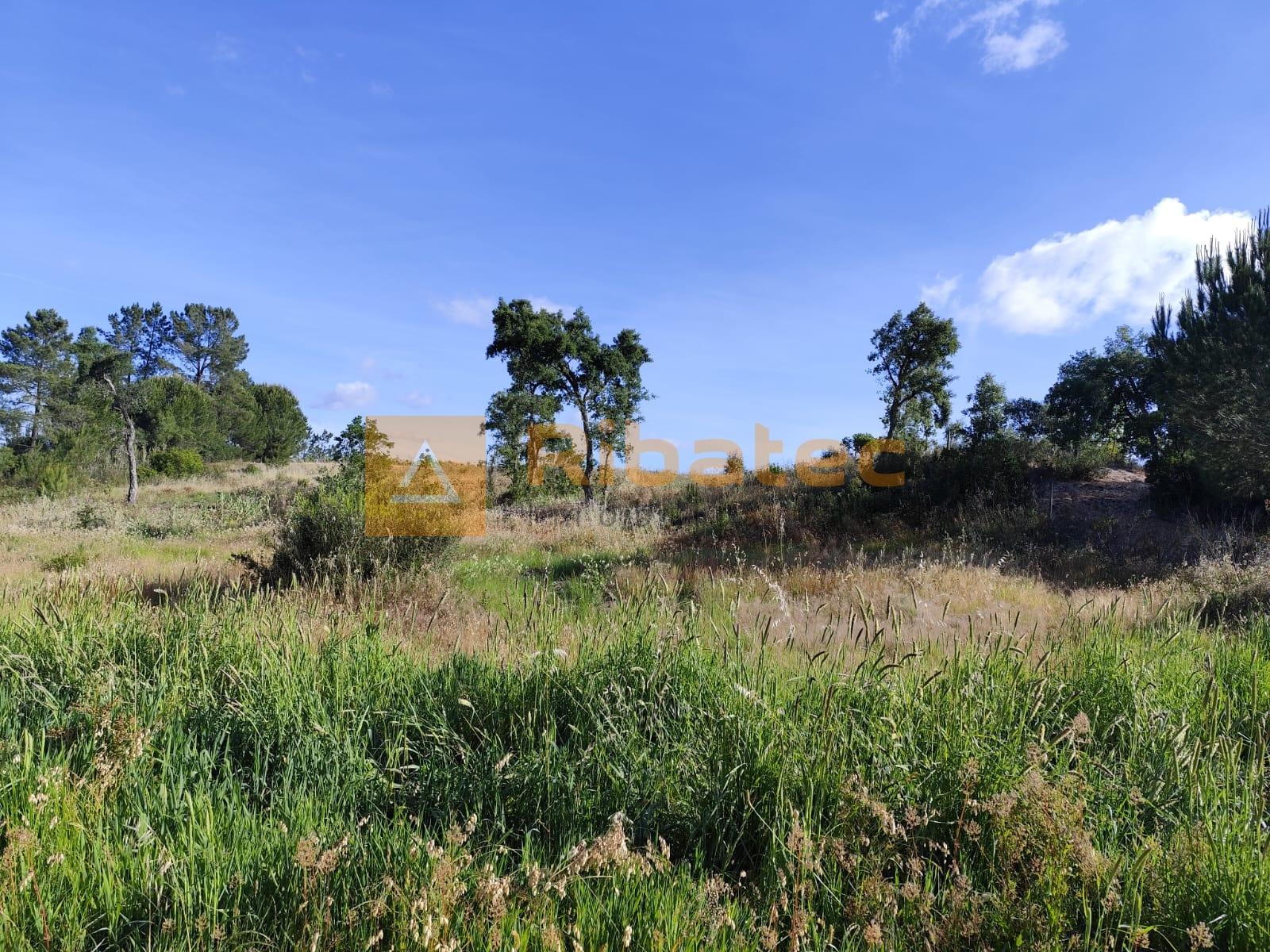 Terreno nas Fazendas da Arriça, Branca